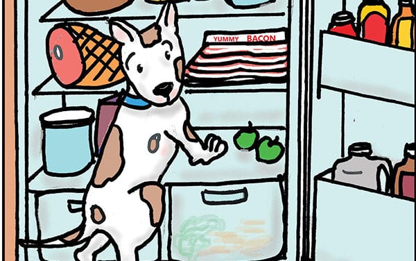 Good Tricks, Bad Tricks and Surprises