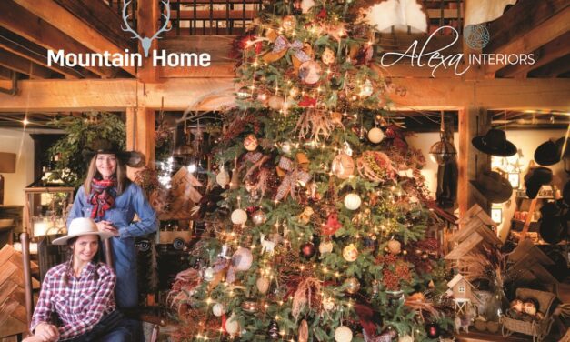 Mountain Home & Alexa Interiors Bringing Comfort and Joy to Your Home