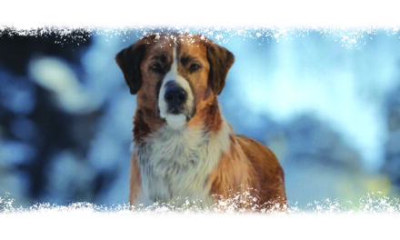 There’s a Patience in the Wild: Dogged, Tireless, Persistent…
